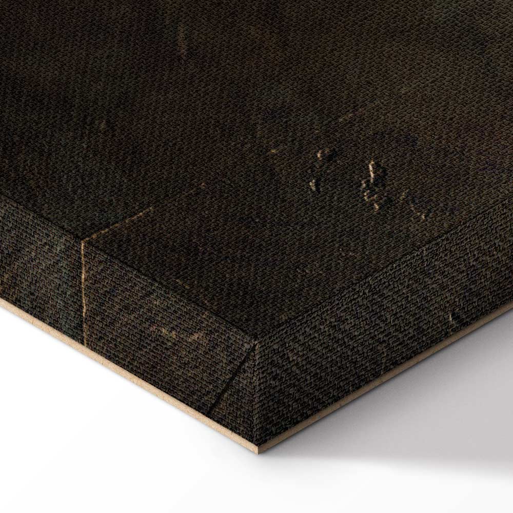 Icarus Wings Vintage Abstract Canvas Print