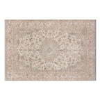 Worn Persian Sand Carpet Motif Canvas Print
