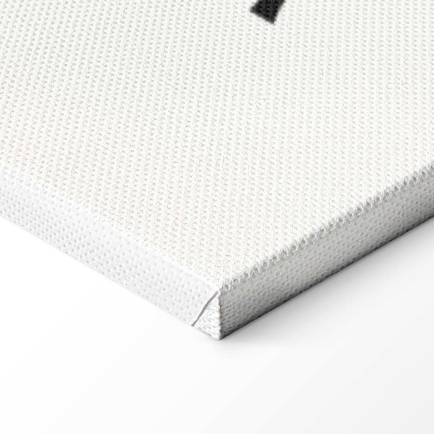 Abstract Sports France Canvas Print