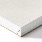 Abstract Sports France Canvas Print